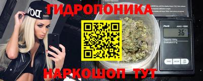 стаф Нальчик