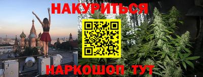 стаф Нальчик