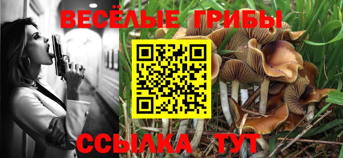 Галлюциногенные грибы Psilocybine cubensis Дагестанские Огни
